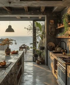 a kitchen with an ocean view is shown in this image, and there are many potted plants on the counter