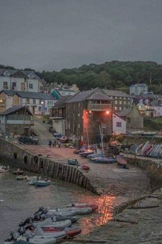 boats are parked on the shore in front of some houses and buildings at night time