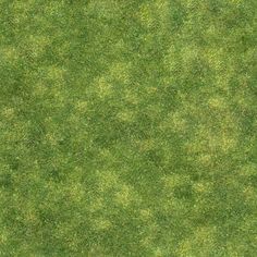 an overhead view of the green grass