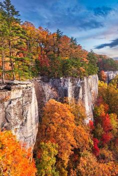 the cliffs are covered in autumn foliage and trees