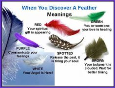 Feather meanings Writing Feather, Angel Therapy, Design Tattoos, Angel Signs