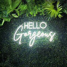 a neon sign that says hello gorgeous in front of some green plants and leaves on the wall