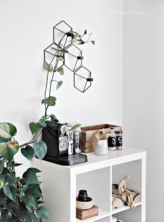 a potted plant sitting on top of a white table next to a shelf filled with items