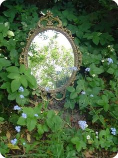 a mirror sitting in the middle of some flowers