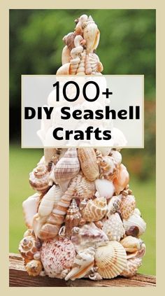 a stack of seashells with the words 100 + diy seashell crafts