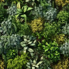 an aerial view of green plants and shrubs in various shades of green, yellow and white