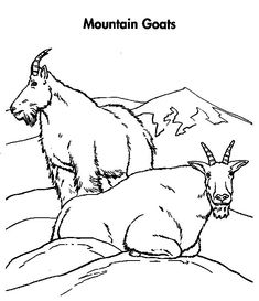 the mountain goats coloring page is shown in black and white