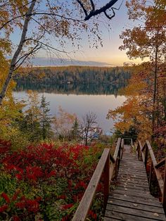 a wooden walkway leading to a lake surrounded by trees and flowers in the fall season