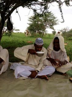 three people sitting on the ground in front of some trees and grass, eating food