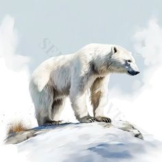 a polar bear standing on top of a snow covered hill