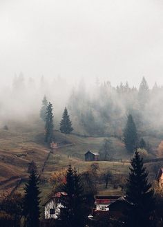 a foggy field with trees and a small cabin in the distance on a hill