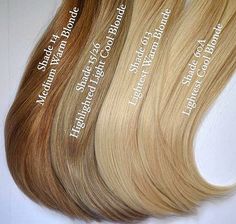 Tmavý Blond, Caramel Blonde, Warm Blonde, Hair Color Shades, Beige Blonde, Cool Blonde, Blonde Hair Inspiration, Blonde Hair Shades, Hair Shades