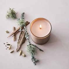 an image of a candle surrounded by herbs