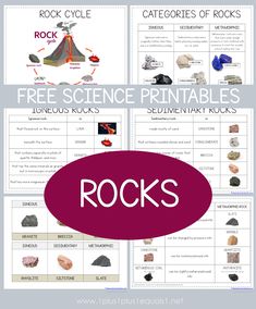 rocks worksheet with the text free science printables