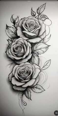 a drawing of three roses with leaves on it