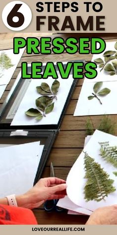 four frames with leaves on them and the text 6 steps to frame pressed leaves