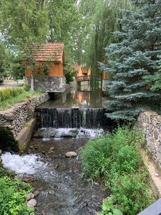 a small stream running through a lush green forest