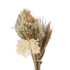 dried flowers in a vase on a white background