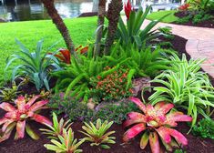 colorful flowers and plants in a garden with water in the backgrounnds