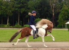 a woman riding on the back of a brown and white horse