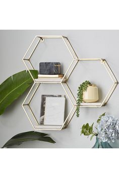 three hexagonal shelves with plants and books on them in front of a white wall