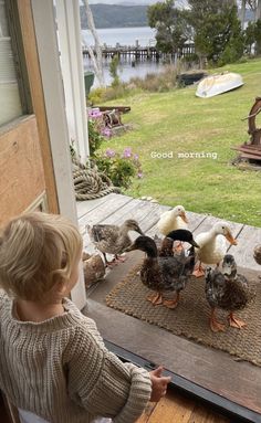 a little boy looking at ducks on the porch