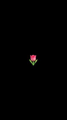 a single pink flower is in the dark