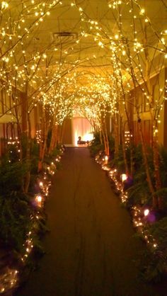 an indoor walkway covered in lights and trees