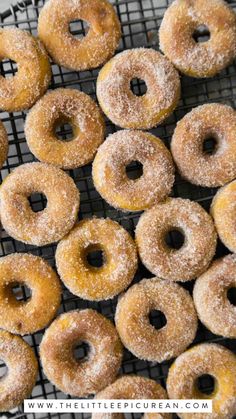 mini pumpkin donuts on a baking tray Pumpkin Pancake Mix, Pumpkin Dog Biscuits, Baked Doughnut, Maple Bars, List Of Spices, Baked Doughnuts