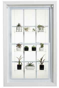 Hanging Window Plant Shelf  - 3 Shelf. Hanging Window Plant Shelf, Window Plant Shelves, Window Shelf For Plants, Acrylic Wall Shelf, Window Plant Shelf, Indoor Plant Shelves, Plant Window, Window Plants, Window Shelves