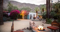 a fire pit in the middle of a courtyard with chairs and palm trees around it