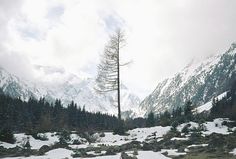 there is a snowboarder that is standing in the snow near some trees and rocks