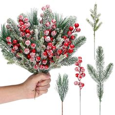 a hand holding a bouquet of red berries and pine needles with snow on them, next to evergreen branches