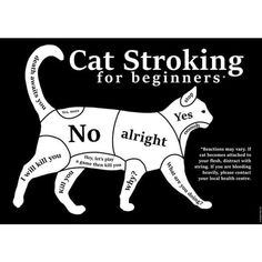 a black and white poster with the words cat stoking for beginners on it