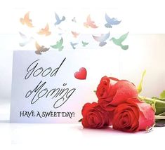 red roses are sitting next to a card with the words good morning have a sweet day