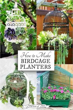 birdcage planters with flowers in them and the words how to make birdcage planters