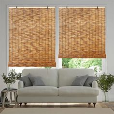 a living room with two couches and bamboo blinds on the windows sills