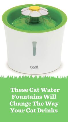 If your cat refuses to drink out of a water bowlthese cat water fountains may just change the hydration gamePlusAmazon Prime members save big. Water Fountains, Cat Parenting, Pet Care Tips, Water Bowl, Water Fountain