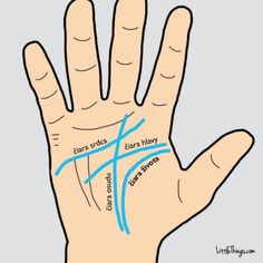 Mala som nejakých 9-10 rokov, keď som si kúpila knižku Veštenie z dlane. Bola to papierová knižka s veľkým plagátom, na ktorom boli vyobrazené jednotlivé čiary, tvary rúk, tvary prstov, nechtov, znamienka a podobne... Dnes už neviem, či tá knižka u mňa ešte niekde existuje, ale nedávno som sa potkla o webovú stránku, ktorá pekne… Palm Reading Lines, Palmistry Reading, Reading Facts, Hand Health, Sweaty Hands, Palm Reader, Palm Reading, Palm Of Your Hand, Life Partners