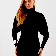 Karen Millen Design. Dress Goes From Office To Dinner. Hits Above The Knee Elegant Turtleneck Mini Dress For Spring, Elegant Turtleneck Mini Dress For Evening, Turtleneck Sweater Dress For Fall Party, Black Sweater Dress For Evening In Winter, Black Sweater Dress For Winter Evenings, Fall Party Turtleneck Sweater Dress, Black Winter Evening Sweater Dress, Chic Turtleneck Mini Dress For Work, Chic High Neck Mini Dress For Fall