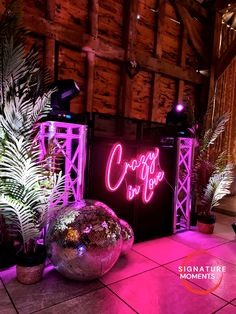 a pink neon sign that says crazy on you next to two disco balls and plants