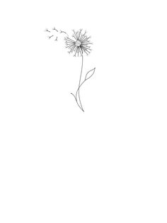 a black and white drawing of a dandelion