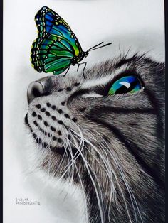 a drawing of a cat with a butterfly on it's head and the image of a blue eyed cat