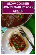 the cover of slow cooker honey garlic pork chops is shown on a plate