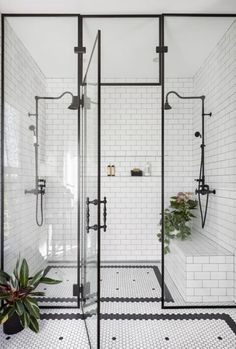 a white bathroom with black and white tile flooring, two shower stalls and a plant in the corner