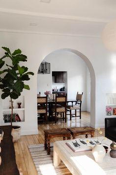 a living room filled with furniture and a potted plant on top of a table