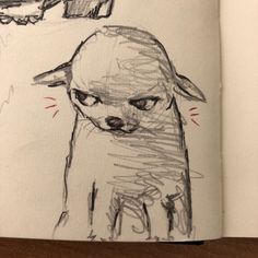 an open book with a drawing of a dog on it's front cover and the inside pages drawn in pencil