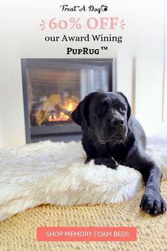 a black dog laying on top of a rug next to a fire place with the words, 50 % off our award winning purru