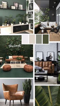 a collage of photos with plants and furniture