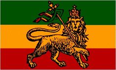 Roots Reggae Music, Wing Chun Training, Green And Black Background, Roots Reggae, Fair Play, Reggae Music, Lion Of Judah, Wing Chun